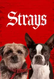 Strays (2023) Türkçe Altyazılı izle