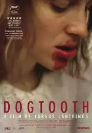 Köpek Dişi Dogtooth