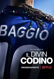 Baggio İlahi At Kuyruğu