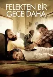 Felekten Bir Gece Daha